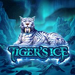 Tiger`s Ice